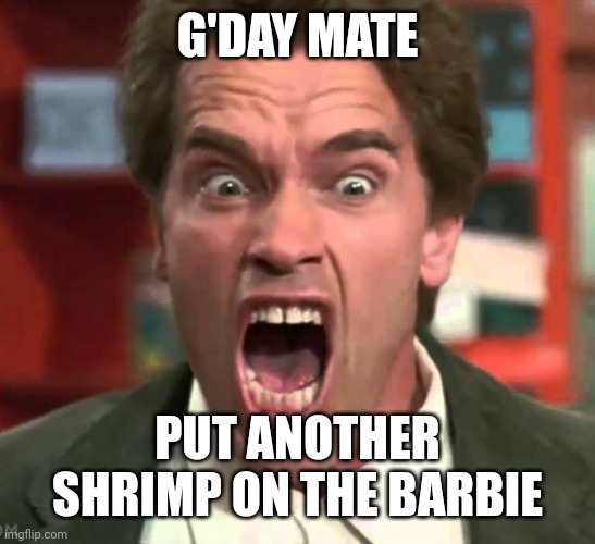 Arnold yelling | G'DAY MATE PUT ANOTHER SHRIMP ON THE BARBIE | image tagged in arnold yelling | made w/ Imgflip meme maker