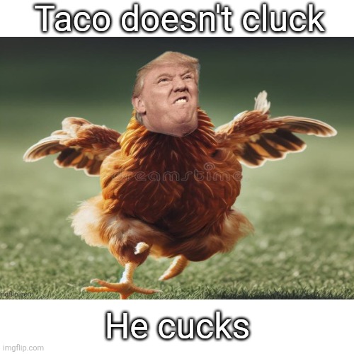 Blank Transparent Square Meme | Taco doesn't cluck He cucks | image tagged in memes,blank transparent square | made w/ Imgflip meme maker