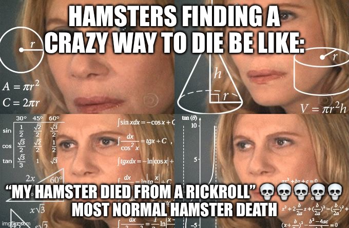 Calculating meme | HAMSTERS FINDING A CRAZY WAY TO DIE BE LIKE:; “MY HAMSTER DIED FROM A RICKROLL” 💀💀💀💀💀
MOST NORMAL HAMSTER DEATH | image tagged in calculating meme | made w/ Imgflip meme maker