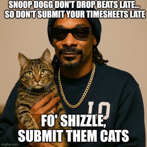 Snoop Dogg timesheet reminder | SNOOP DOGG DON'T DROP BEATS LATE... 
SO DON'T SUBMIT YOUR TIMESHEETS LATE; FO' SHIZZLE, SUBMIT THEM CATS | image tagged in timsheet reminder,cats reminder | made w/ Imgflip meme maker