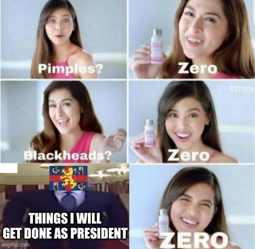 le self-deprecating humor has arrived | THINGS I WILL GET DONE AS PRESIDENT | image tagged in pimples zero | made w/ Imgflip meme maker