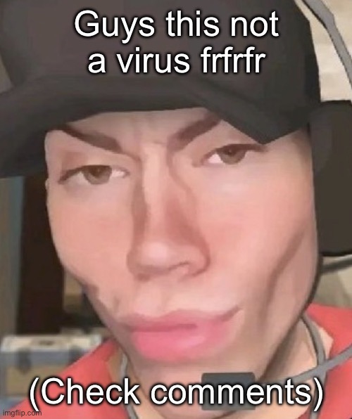 Irl scout | Guys this not a virus frfrfr; (Check comments) | image tagged in irl scout | made w/ Imgflip meme maker