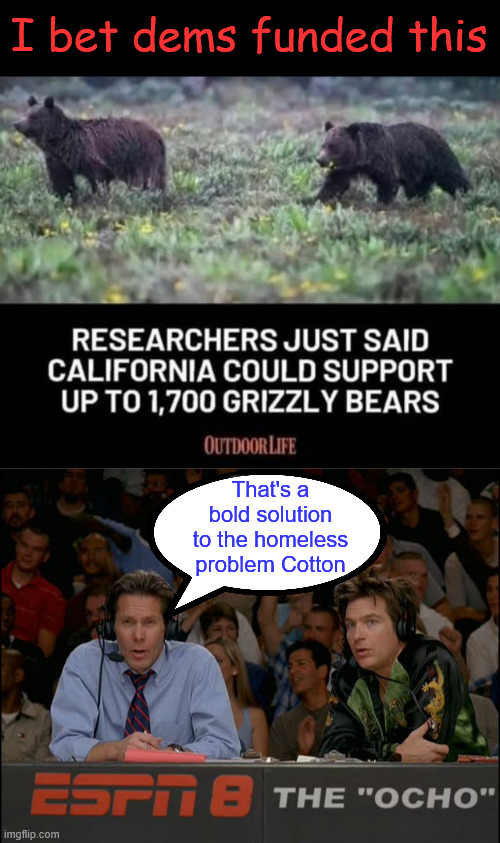 I bet dems funded this | I bet dems funded this; That's a bold solution to the homeless problem Cotton | image tagged in that's a bold move cotton | made w/ Imgflip meme maker