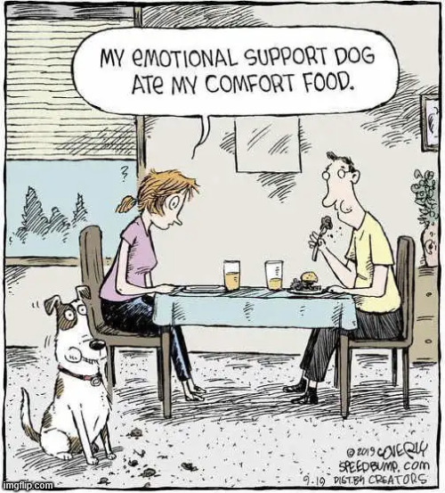 Support dog | image tagged in repost,support dog | made w/ Imgflip meme maker