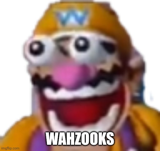 wariooga | WAHZOOKS | image tagged in wariooga | made w/ Imgflip meme maker