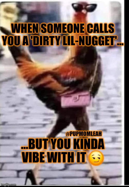 Dirty lil-Nugget | WHEN SOMEONE CALLS YOU A 'DIRTY LIL-NUGGET'... …BUT YOU KINDA VIBE WITH IT 😏; #PUPMOMLEAH | image tagged in chicken nuggets,lol so funny,chickens | made w/ Imgflip meme maker