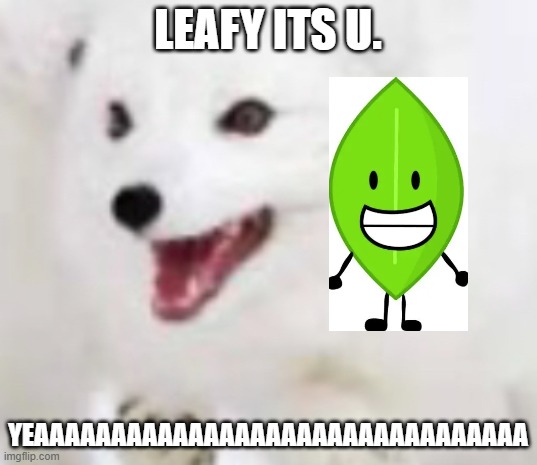 leaf sussy | LEAFY ITS U. YEAAAAAAAAAAAAAAAAAAAAAAAAAAAAAAAA | image tagged in humor | made w/ Imgflip meme maker