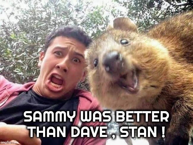 Quokka and Stan | SAMMY WAS BETTER THAN DAVE , STAN ! | image tagged in quokka and stan | made w/ Imgflip meme maker