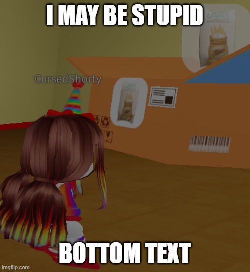 I MAY BE STUPID; BOTTOM TEXT | image tagged in roblox meme | made w/ Imgflip meme maker