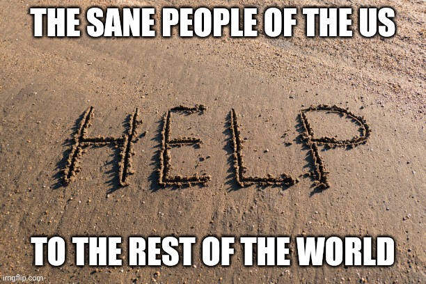 HELP!!!!! | THE SANE PEOPLE OF THE US; TO THE REST OF THE WORLD | image tagged in rescue | made w/ Imgflip meme maker