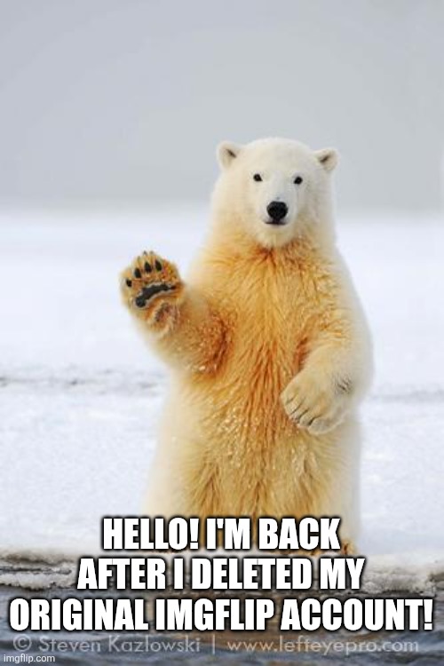 Hello! | HELLO! I'M BACK AFTER I DELETED MY ORIGINAL IMGFLIP ACCOUNT! | image tagged in hello polar bear | made w/ Imgflip meme maker