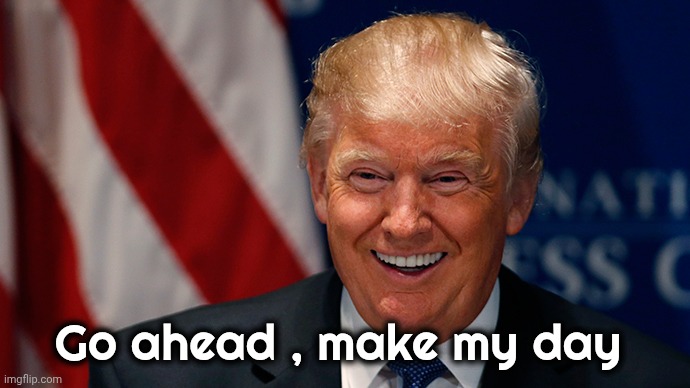 Laughing Donald Trump | Go ahead , make my day | image tagged in laughing donald trump | made w/ Imgflip meme maker