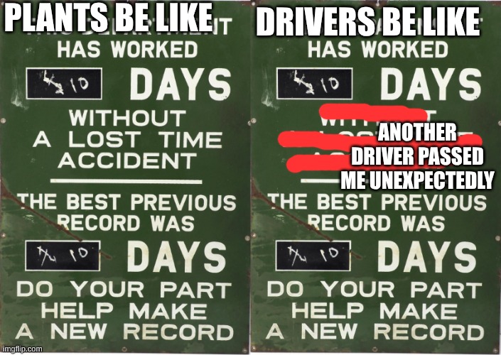 Good Driving Standards | PLANTS BE LIKE; DRIVERS BE LIKE; ANOTHER DRIVER PASSED ME UNEXPECTEDLY | image tagged in safety,work,driving,usa,blue collar | made w/ Imgflip meme maker