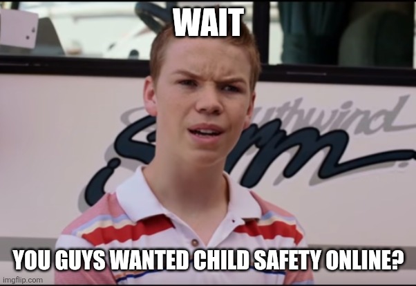 You Guys are Getting Paid | WAIT YOU GUYS WANTED CHILD SAFETY ONLINE? | image tagged in you guys are getting paid | made w/ Imgflip meme maker