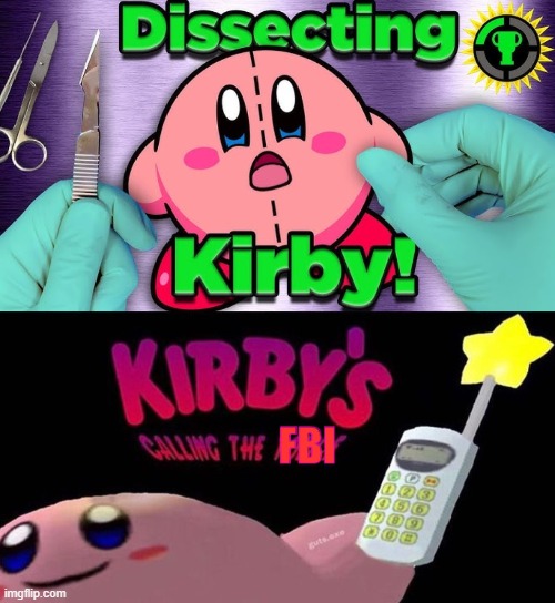 why in the bloody hell would you dissect the poor fella | image tagged in kirby s calling the fbi | made w/ Imgflip meme maker