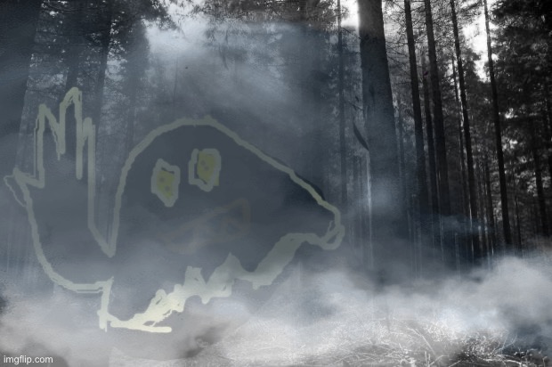 sunlit forest | image tagged in sunlit forest | made w/ Imgflip meme maker