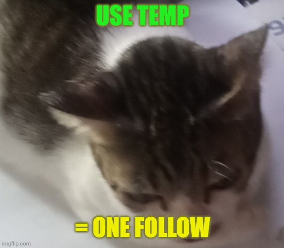 Ming mong | USE TEMP; = ONE FOLLOW | image tagged in ming mong | made w/ Imgflip meme maker