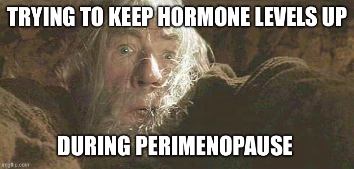 Perimenopausal Gandalf | TRYING TO KEEP HORMONE LEVELS UP; DURING PERIMENOPAUSE | image tagged in gandalf fly you fools | made w/ Imgflip meme maker
