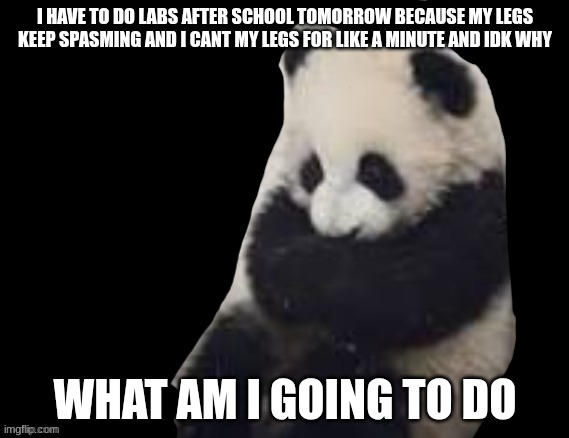 panda | I HAVE TO DO LABS AFTER SCHOOL TOMORROW BECAUSE MY LEGS KEEP SPASMING AND I CANT MY LEGS FOR LIKE A MINUTE AND IDK WHY; WHAT AM I GOING TO DO | image tagged in panda | made w/ Imgflip meme maker