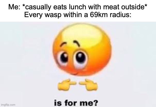 Is for me | Me: *casually eats lunch with meat outside*
Every wasp within a 69km radius: | image tagged in is for me,memes,dank memes,funny,lol,wasp | made w/ Imgflip meme maker