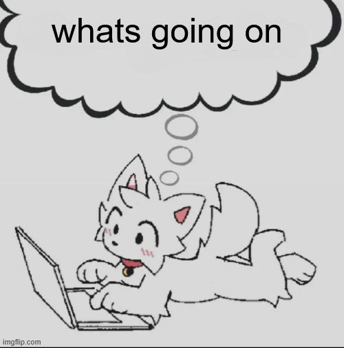 buh | whats going on | image tagged in huh guh hwuh | made w/ Imgflip meme maker