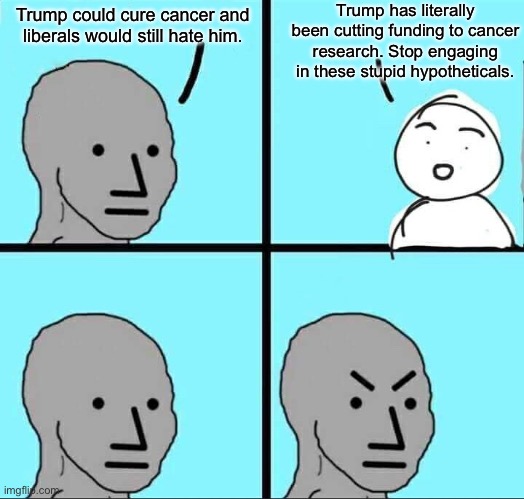 NPC Meme | Trump has literally been cutting funding to cancer research. Stop engaging in these stupid hypotheticals. Trump could cure cancer and liberals would still hate him. | image tagged in npc meme,donald trump,fascism,cancer,doge | made w/ Imgflip meme maker