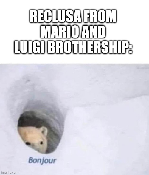 Bonjour | RECLUSA FROM MARIO AND LUIGI BROTHERSHIP: | image tagged in bonjour | made w/ Imgflip meme maker