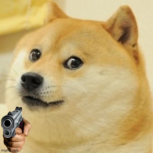 image tagged in memes,doge | made w/ Imgflip meme maker