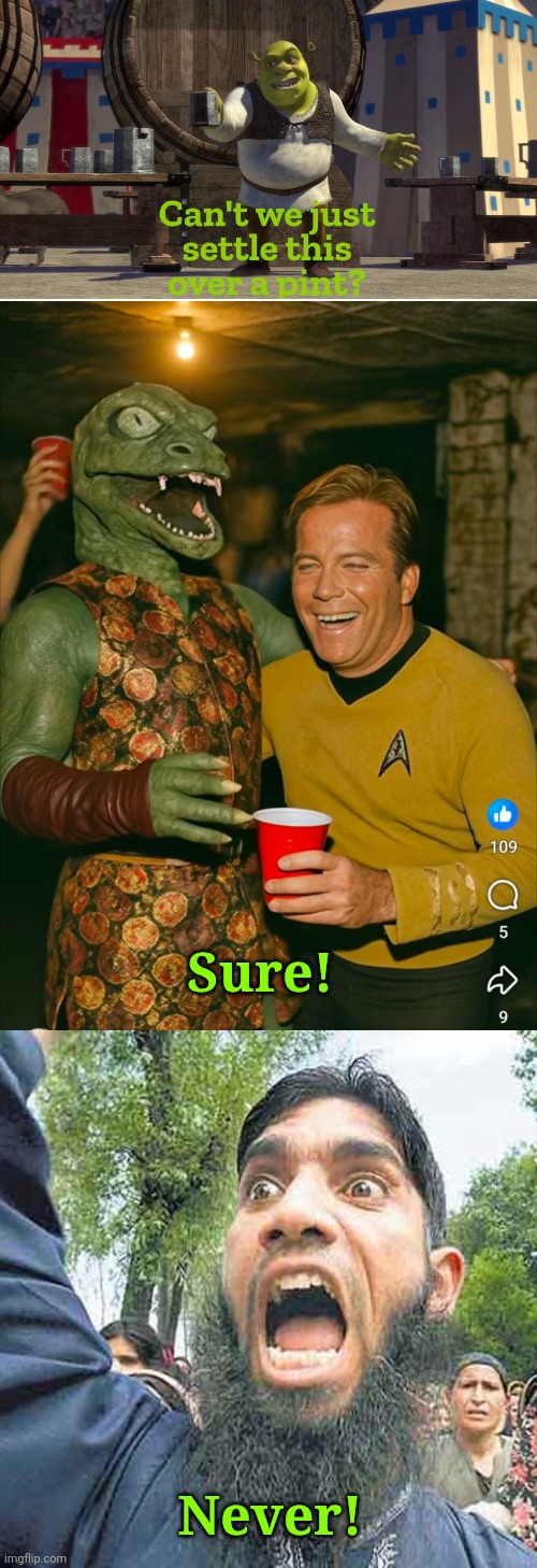 Pint | Sure! Never! | image tagged in pint | made w/ Imgflip meme maker