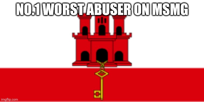 This | NO.1 WORST ABUSER ON MSMG | image tagged in i hate it when | made w/ Imgflip meme maker