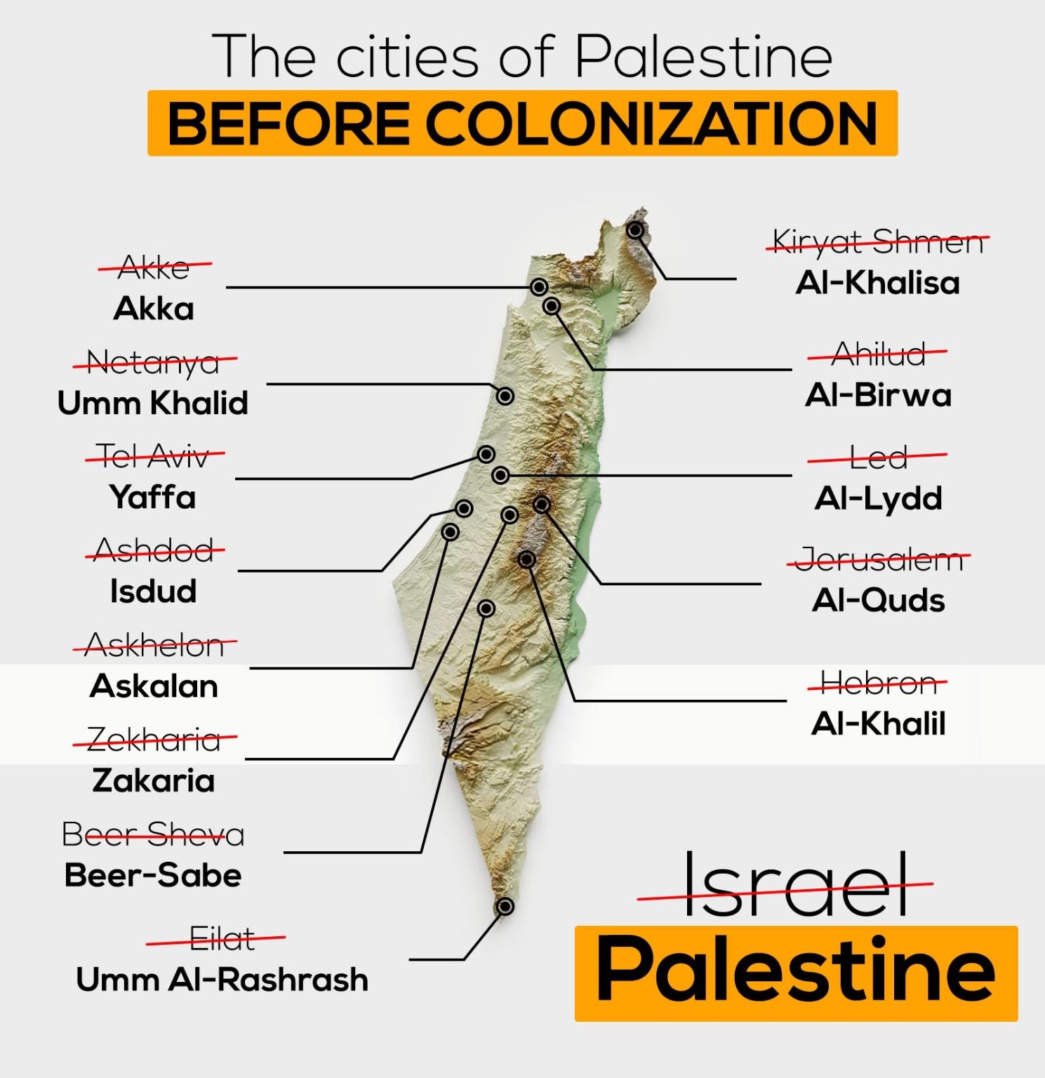 The state of Palestine Blank Meme Template
