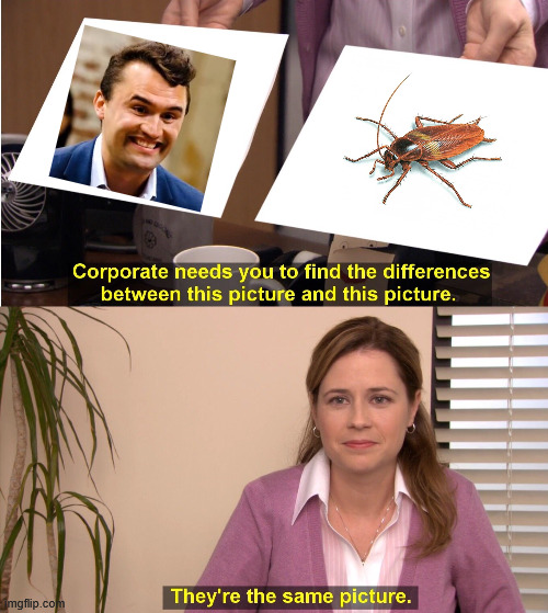They're The Same Picture Meme | image tagged in memes,they're the same picture,charlie kirk,turning point usa,cockroach | made w/ Imgflip meme maker