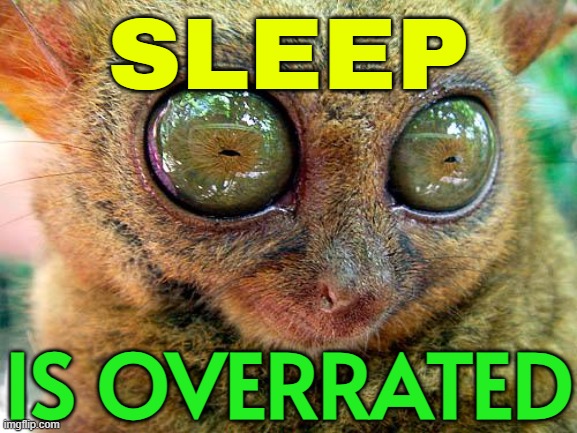 Sleep is overrated | SLEEP; IS OVERRATED | image tagged in big eyes,sleep,sleeping,health care,life,no sleep | made w/ Imgflip meme maker