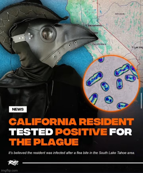 Mother nature fucking unvaulted the bubonic plaque we are cooked ? | image tagged in real btw | made w/ Imgflip meme maker