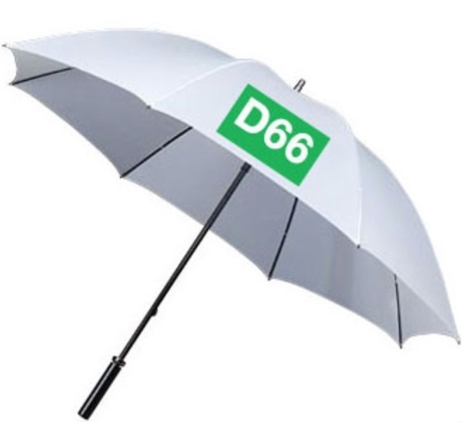 Umbrella D66 Blank Meme Template