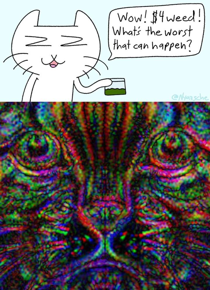 4 dollars weed cat Blank Meme Template