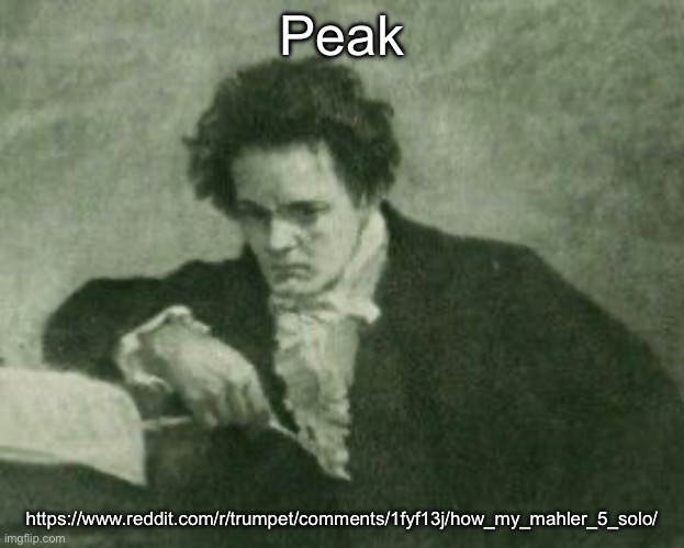 Beethoven | Peak; https://www.reddit.com/r/trumpet/comments/1fyf13j/how_my_mahler_5_solo/ | image tagged in beethoven | made w/ Imgflip meme maker