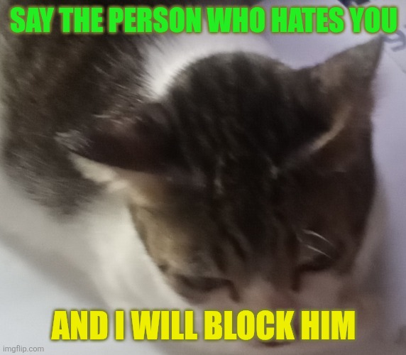 Ming mong | SAY THE PERSON WHO HATES YOU; AND I WILL BLOCK HIM | image tagged in ming mong | made w/ Imgflip meme maker