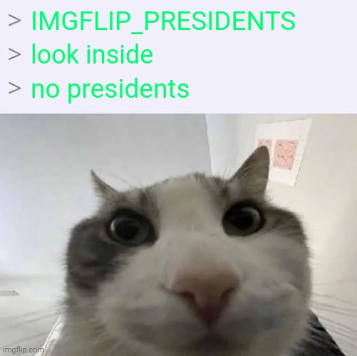 I wonder what could have caused this?.. | IMGFLIP_PRESIDENTS; look inside; no presidents | image tagged in greentext 'look inside' x meme | made w/ Imgflip meme maker