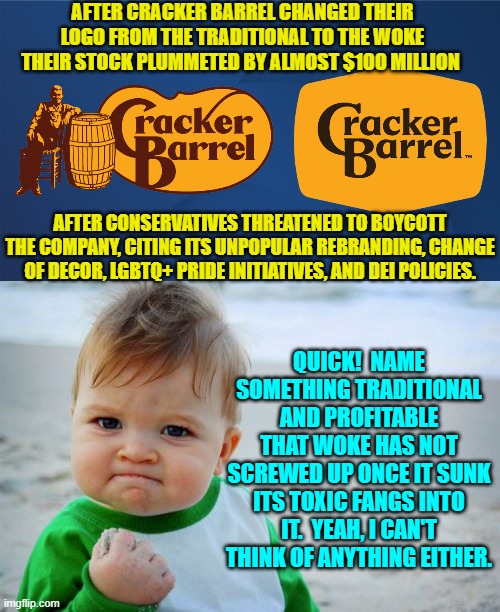 Leftists screw up everything with their toxic WOKEism. | AFTER CRACKER BARREL CHANGED THEIR LOGO FROM THE TRADITIONAL TO THE WOKE THEIR STOCK PLUMMETED BY ALMOST $100 MILLION; AFTER CONSERVATIVES THREATENED TO BOYCOTT THE COMPANY, CITING ITS UNPOPULAR REBRANDING, CHANGE OF DECOR, LGBTQ+ PRIDE INITIATIVES, AND DEI POLICIES. QUICK!  NAME SOMETHING TRADITIONAL AND PROFITABLE THAT WOKE HAS NOT SCREWED UP ONCE IT SUNK ITS TOXIC FANGS INTO IT.  YEAH, I CAN'T THINK OF ANYTHING EITHER. | image tagged in success kid original | made w/ Imgflip meme maker