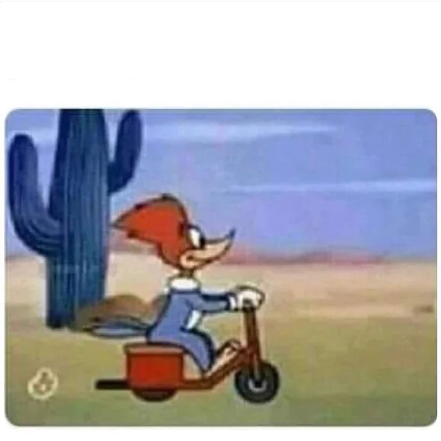 woodpecker driving moped Blank Meme Template