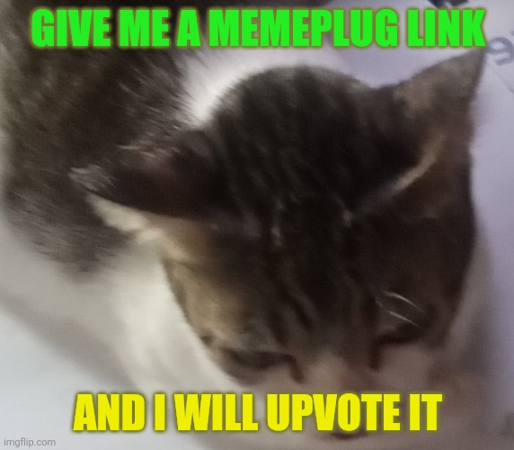 Ming mong | GIVE ME A MEMEPLUG LINK; AND I WILL UPVOTE IT | image tagged in ming mong | made w/ Imgflip meme maker