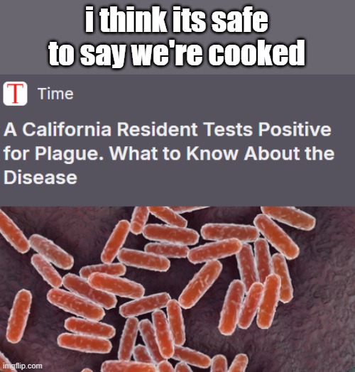 bub | i think its safe to say we're cooked | image tagged in plague,america,california,virus | made w/ Imgflip meme maker