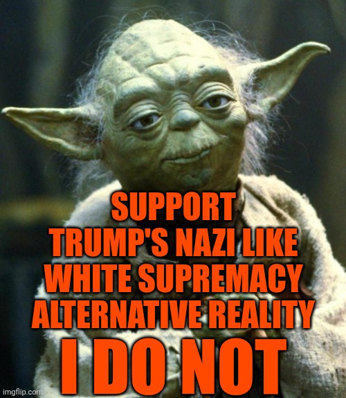 I'll Never Support Nazi HATE Or Nazi White Supremacy.  NEVER | SUPPORT TRUMP'S NAZI LIKE WHITE SUPREMACY ALTERNATIVE REALITY; I DO NOT | image tagged in memes,star wars yoda,maga,nazis,terrorists,lock them all up | made w/ Imgflip meme maker