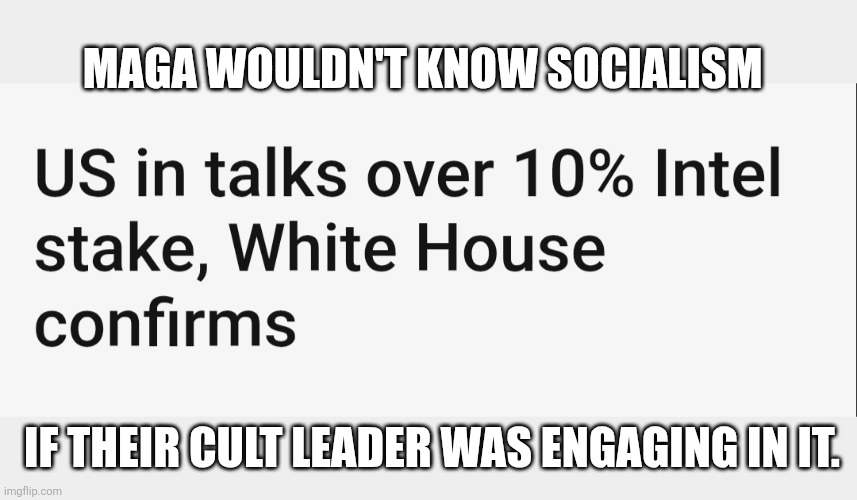 MAGA WOULDN'T KNOW SOCIALISM; IF THEIR CULT LEADER WAS ENGAGING IN IT. | made w/ Imgflip meme maker