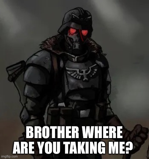 BROTHER WHERE ARE YOU TAKING ME? | image tagged in krieg grenadier | made w/ Imgflip meme maker
