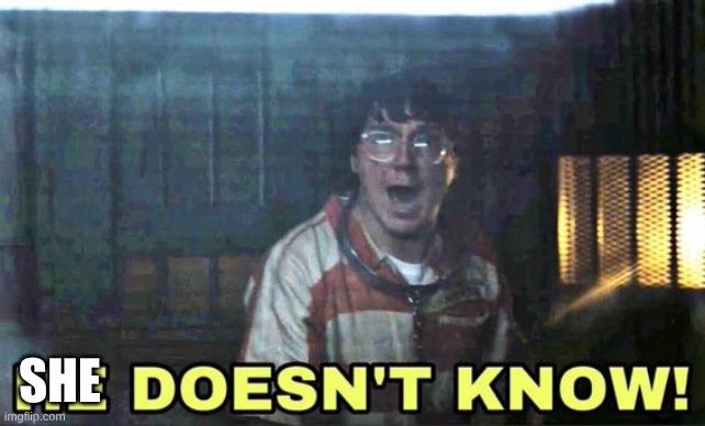 he doesn’t know | SHE | image tagged in he doesn t know | made w/ Imgflip meme maker