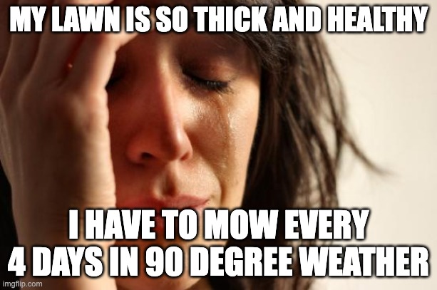 First World Problems Meme | MY LAWN IS SO THICK AND HEALTHY; I HAVE TO MOW EVERY 4 DAYS IN 90 DEGREE WEATHER | image tagged in memes,first world problems | made w/ Imgflip meme maker