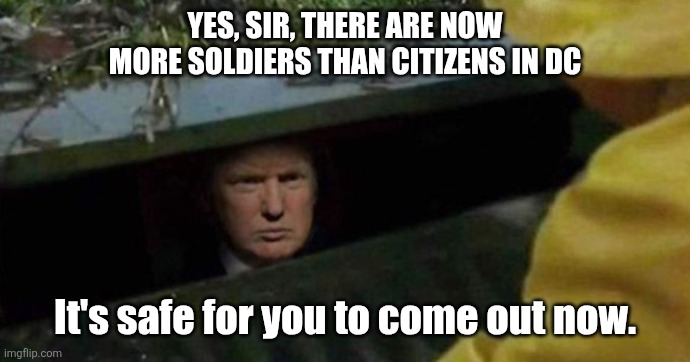 Bunker Trump | YES, SIR, THERE ARE NOW MORE SOLDIERS THAN CITIZENS IN DC It's safe for you to come out now. | image tagged in bunker trump | made w/ Imgflip meme maker