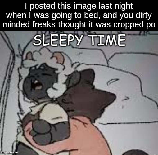 I posted this image last night when I was going to bed, and you dirty minded freaks thought it was cropped po | made w/ Imgflip meme maker